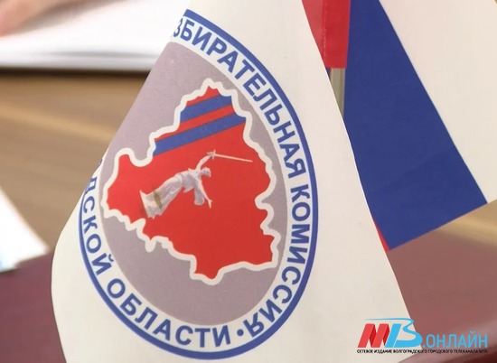 Опубликованы данные о явке избирателей в Волгоградской области
